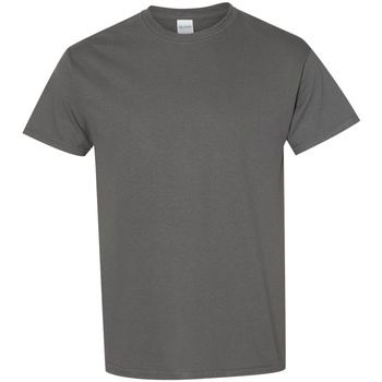 Abbigliamento Uomo T-shirt maniche corte Gildan 5000 Grigio