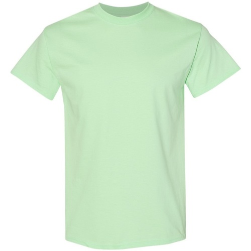 Abbigliamento Uomo T-shirt maniche corte Gildan 5000 Verde