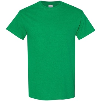 Abbigliamento Uomo T-shirt maniche corte Gildan 5000 Verde