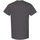 Abbigliamento Uomo T-shirt maniche corte Gildan 5000 Multicolore