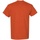 Abbigliamento Uomo T-shirt maniche corte Gildan 5000 Arancio