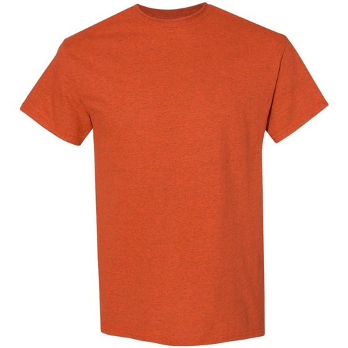 Abbigliamento Uomo T-shirt maniche corte Gildan 5000 Arancio