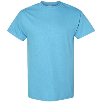 Abbigliamento Uomo T-shirt maniche corte Gildan 5000 Blu
