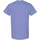 Abbigliamento Uomo T-shirt maniche corte Gildan 5000 Multicolore