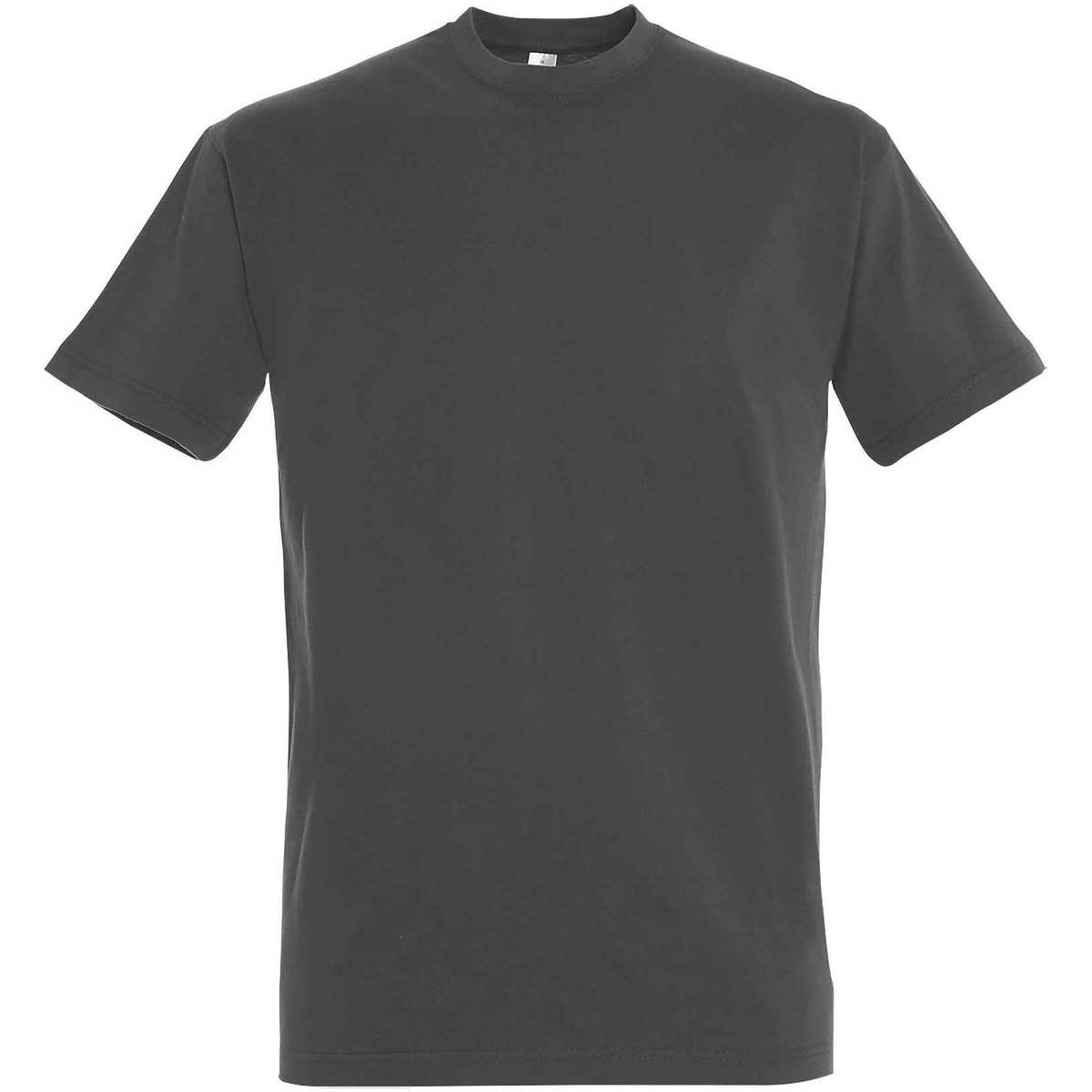 Abbigliamento Donna T-shirt maniche corte Sols IMPERIAL camiseta color Gris Oscuro Grigio