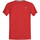 Abbigliamento Uomo T-shirt & Polo Tommy Jeans DM0DM10101 Rosso