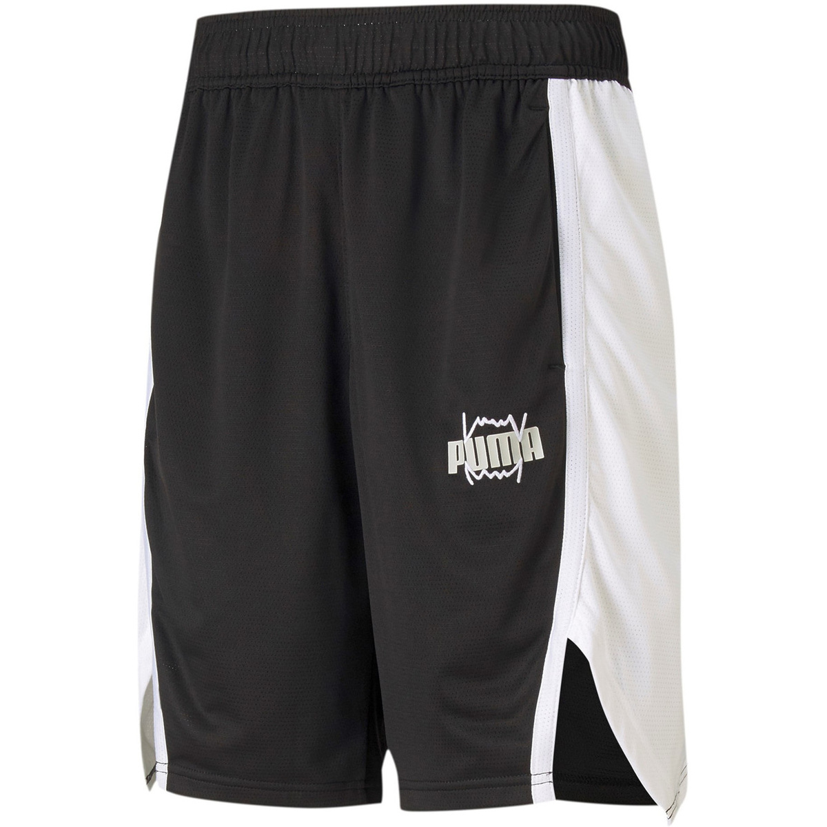 Abbigliamento Uomo Shorts / Bermuda Puma 530492 Nero
