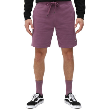 Abbigliamento Uomo Shorts / Bermuda Dickies DK0A4XAYB651 Viola