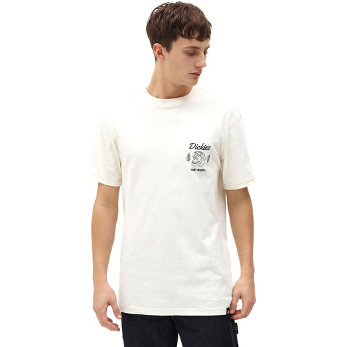 Abbigliamento Uomo T-shirt & Polo Dickies DK0A4X9NECR1 Bianco
