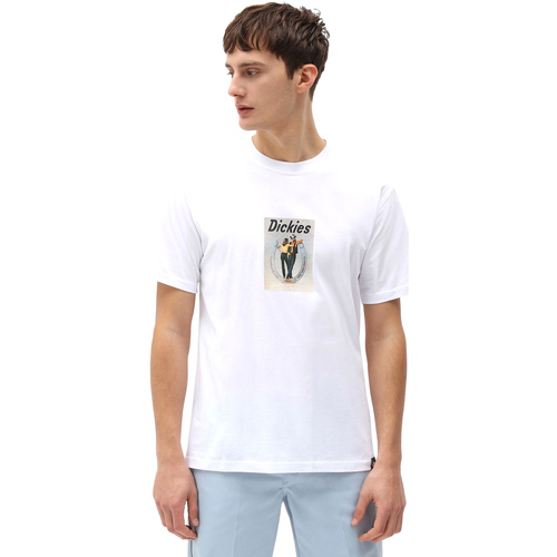 Abbigliamento Uomo T-shirt & Polo Dickies DK0A4X9IWHX1 Bianco