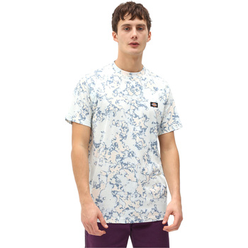 Abbigliamento Uomo T-shirt & Polo Dickies DK0A4X9PB551 Blu