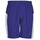 Abbigliamento Uomo Shorts / Bermuda Puma WV RECY 9SHORT Blu / Bianco