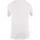 Abbigliamento Bambino T-shirt & Polo Canterbury E746668 Bianco