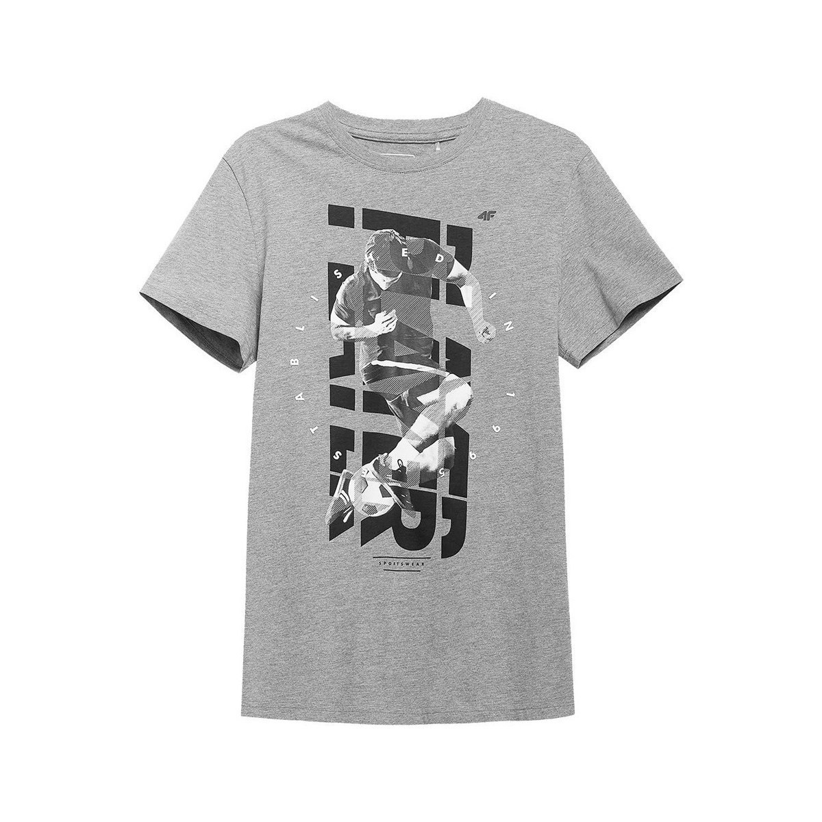 Abbigliamento Uomo T-shirt maniche corte 4F H4L21 TSM011 Grigio
