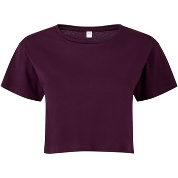 Abbigliamento Donna T-shirts a maniche lunghe Tridri TR019 Viola