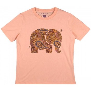 Abbigliamento Donna T-shirt maniche corte Trendsplant CAMISETA MUJER  029970WPTP Arancio