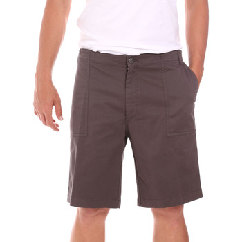 Abbigliamento Uomo Shorts / Bermuda Colmar 0867T 8SP Marrone