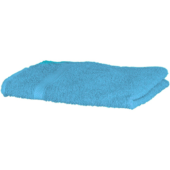 Casa Asciugamano e guanto esfoliante Towel City RW1576 Blu