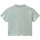 Abbigliamento Donna T-shirt & Polo Dickies DK0A4XBAB871 Verde