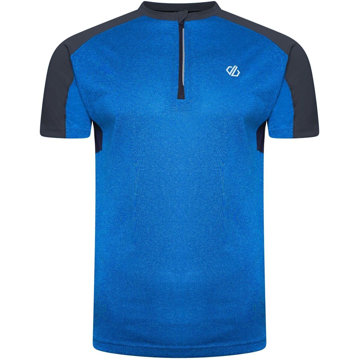 Abbigliamento Uomo T-shirt maniche corte Dare 2b Aces II Blu