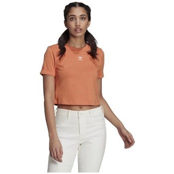 Abbigliamento Donna T-shirt maniche corte adidas Originals Adicolor Classics Arancio