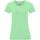 Abbigliamento Donna T-shirts a maniche lunghe Fruit Of The Loom Iconic Verde