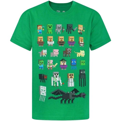 Abbigliamento Bambino T-shirt maniche corte Minecraft Sprites Verde