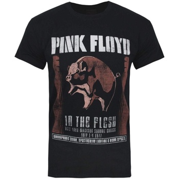 Abbigliamento Uomo T-shirts a maniche lunghe Pink Floyd In The Flesh Nero