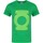 Abbigliamento Uomo T-shirts a maniche lunghe Green Lantern NS4067 Verde