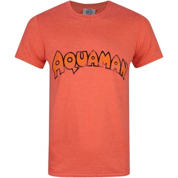 Abbigliamento Uomo T-shirts a maniche lunghe Aquaman  Arancio