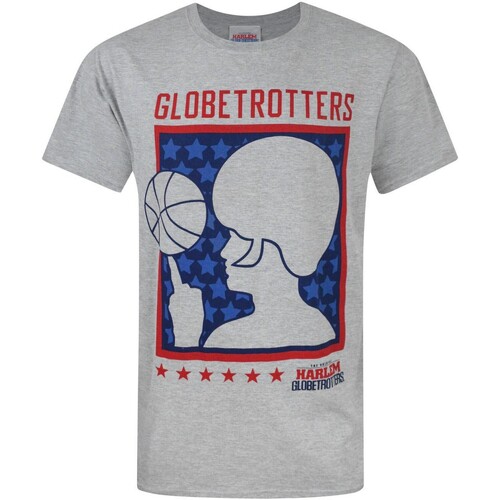 Abbigliamento Uomo T-shirts a maniche lunghe Harlem Globetrotters NS4078 Grigio