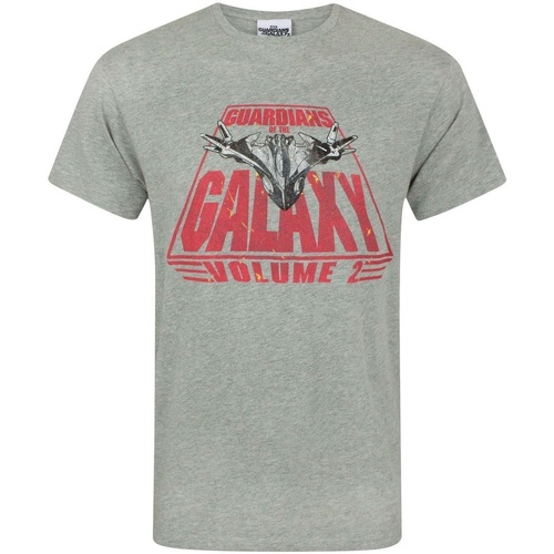 Abbigliamento Uomo T-shirts a maniche lunghe Guardians Of The Galaxy NS4382 Grigio