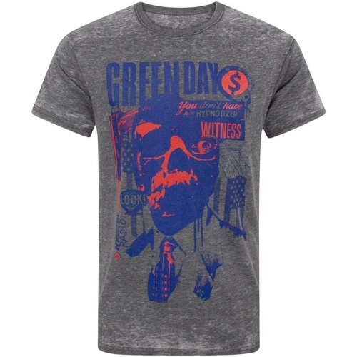 Abbigliamento Uomo T-shirts a maniche lunghe Green Day Revolution Radio Grigio