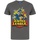 Abbigliamento Uomo T-shirts a maniche lunghe Justice League NS4410 Grigio