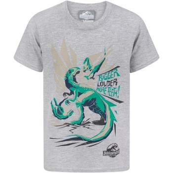 Abbigliamento Bambino T-shirt maniche corte Jurassic World Bigger Teeth Grigio