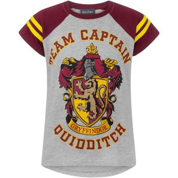 Image of T-shirts a maniche lunghe Harry Potter Quidditch Team Captain