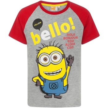 Abbigliamento Bambino T-shirts a maniche lunghe Despicable Me Yellow Bello! Multicolore