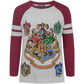 Abbigliamento Bambina T-shirts a maniche lunghe Harry Potter NS4955 Multicolore