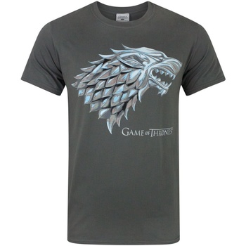 Abbigliamento Uomo T-shirts a maniche lunghe Game Of Thrones NS5155 Grigio