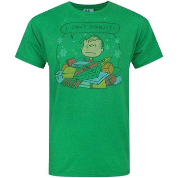Abbigliamento Uomo T-shirts a maniche lunghe Junk Food I Can't Stand It Verde