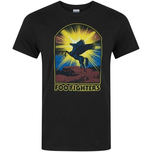 Abbigliamento Uomo T-shirts a maniche lunghe Foo Fighters NS5488 Nero