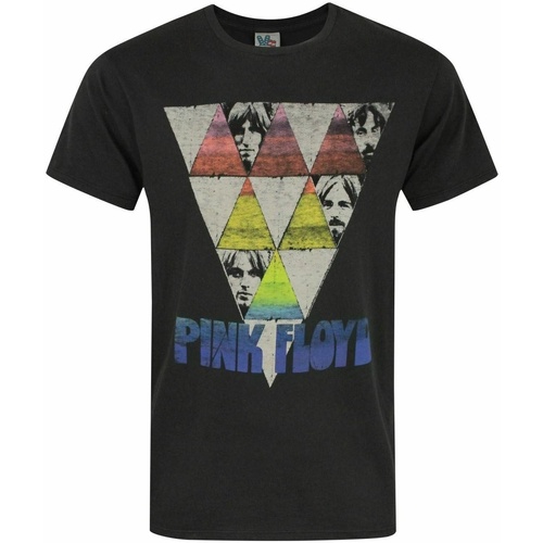 Abbigliamento Uomo T-shirts a maniche lunghe Junk Food Triangles Grigio