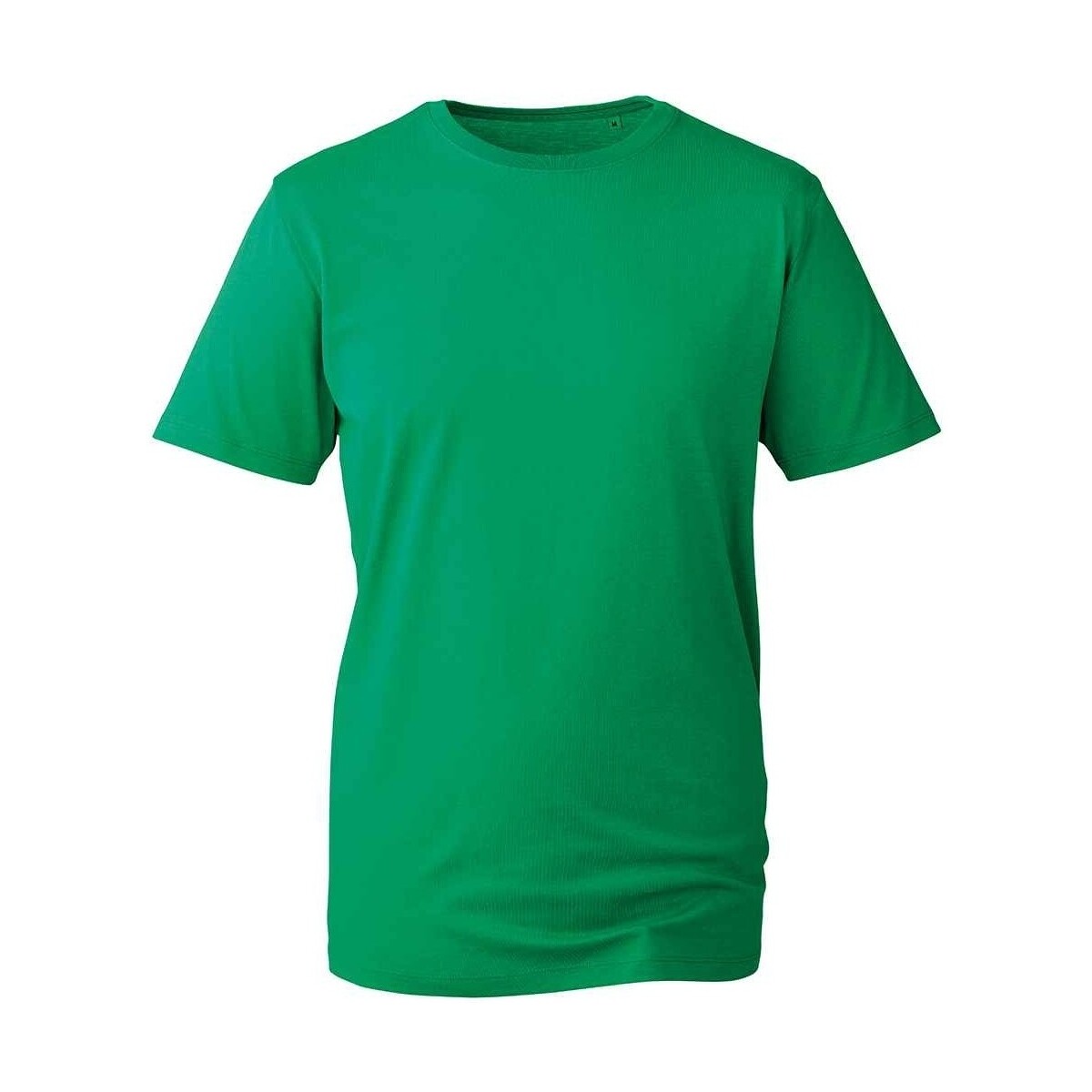 Abbigliamento Uomo T-shirts a maniche lunghe Anthem AM10 Verde