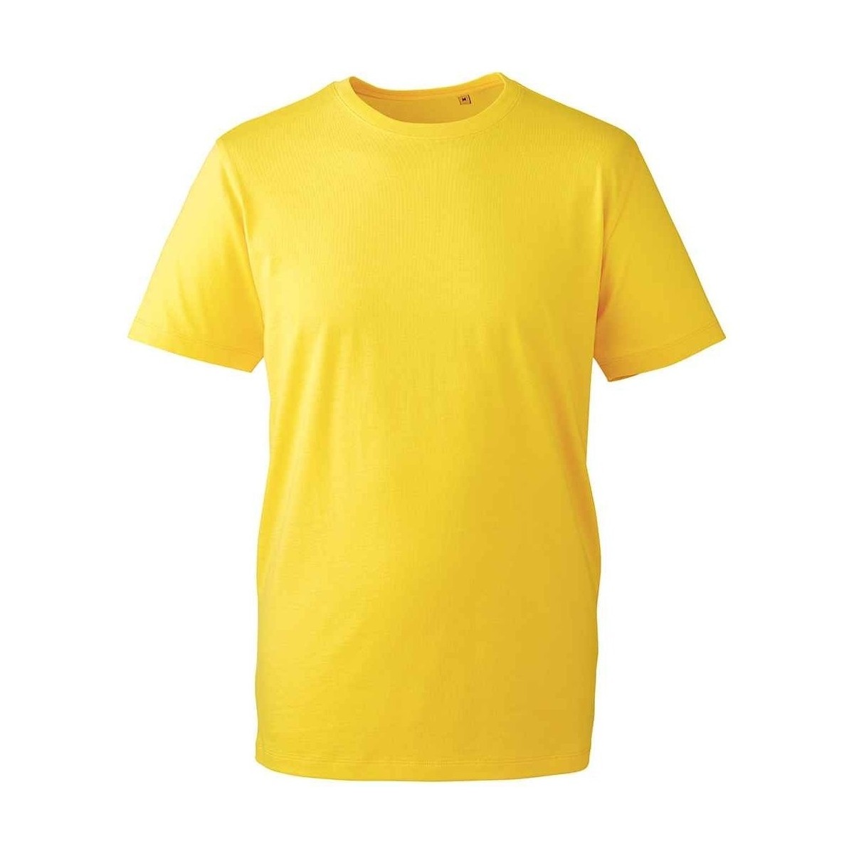 Abbigliamento Uomo T-shirts a maniche lunghe Anthem AM10 Multicolore
