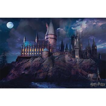 Casa Poster Harry Potter TA357 Multicolore