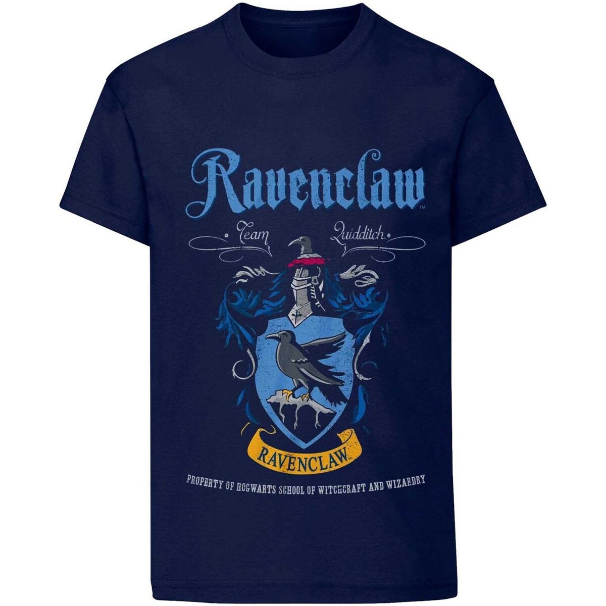 Abbigliamento T-shirts a maniche lunghe Harry Potter HE458 Blu