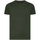 Abbigliamento Unisex bambino T-shirt maniche corte Ecologie Cascades Verde