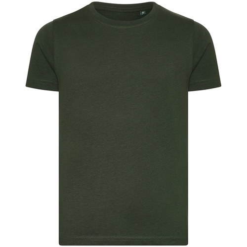 Abbigliamento Unisex bambino T-shirt maniche corte Ecologie Cascades Verde