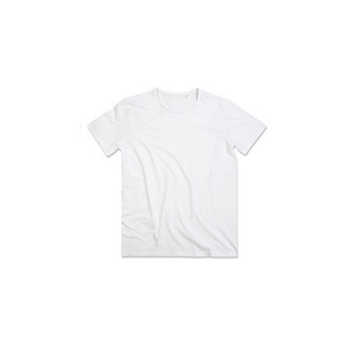 Abbigliamento Uomo T-shirts a maniche lunghe Stedman Stars Finest Bianco