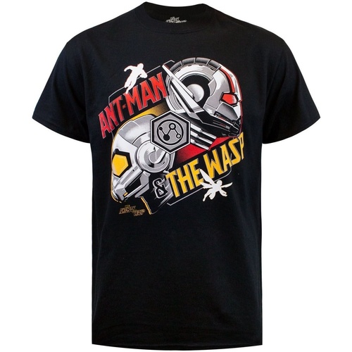 Abbigliamento Uomo T-shirts a maniche lunghe Ant-Man NS5279 Nero
